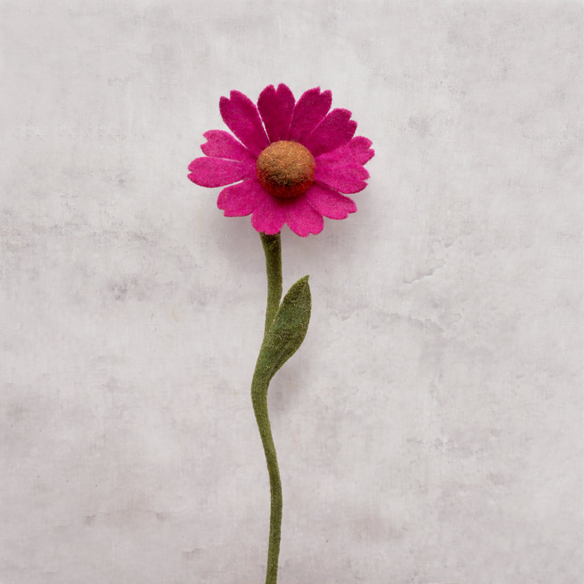 10A-ZO-HOE_BETON Coneflower (Zonnehoed) - Afbeelding 4