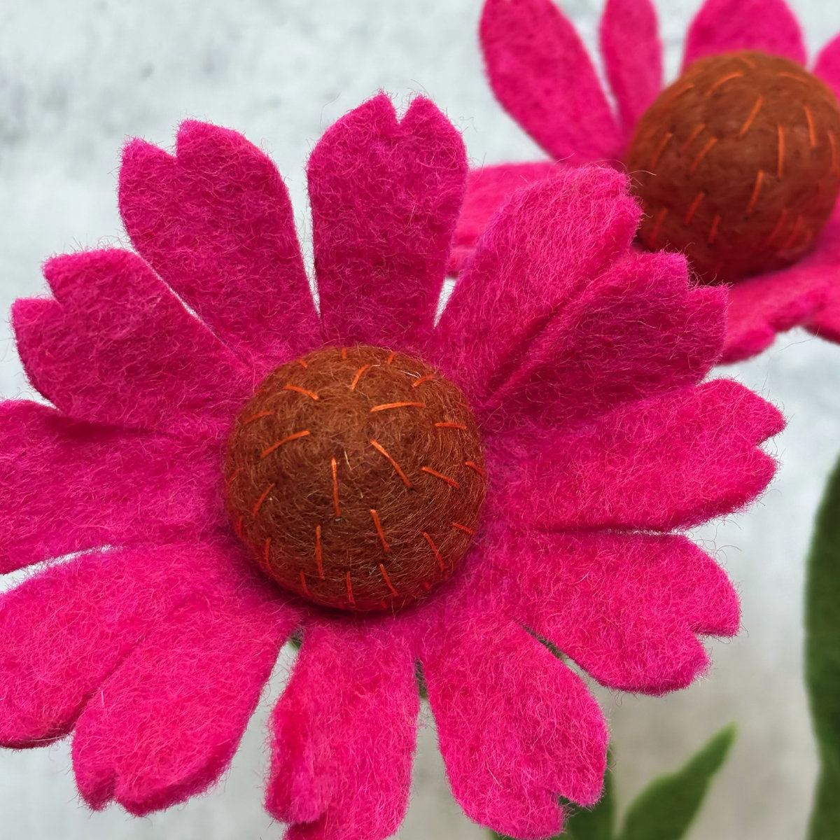 10A-ZO-HOE_EXTRA Coneflower (Zonnehoed) - Afbeelding 3