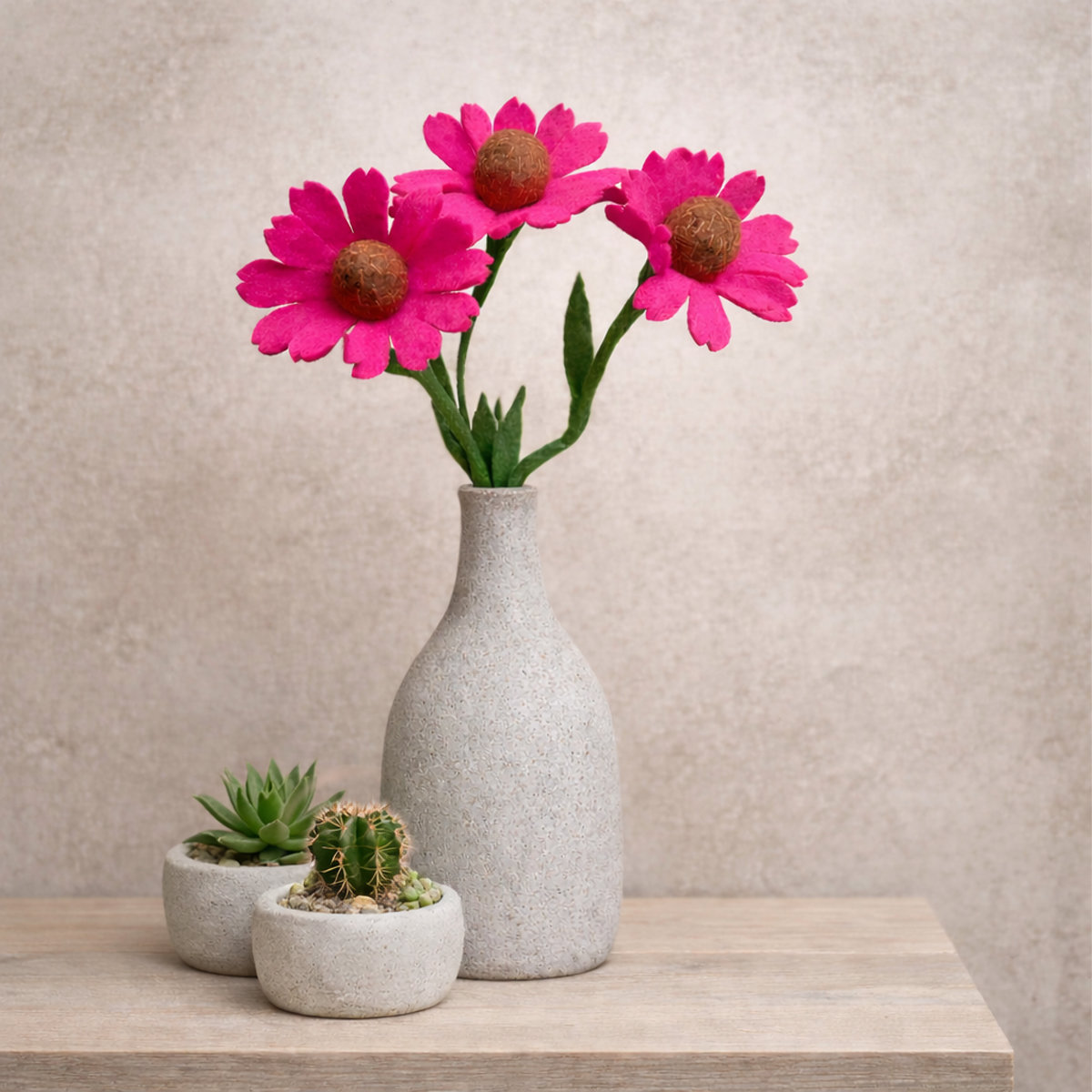 10A-ZO-HOE_SFEER Coneflower (Zonnehoed) - Afbeelding 2