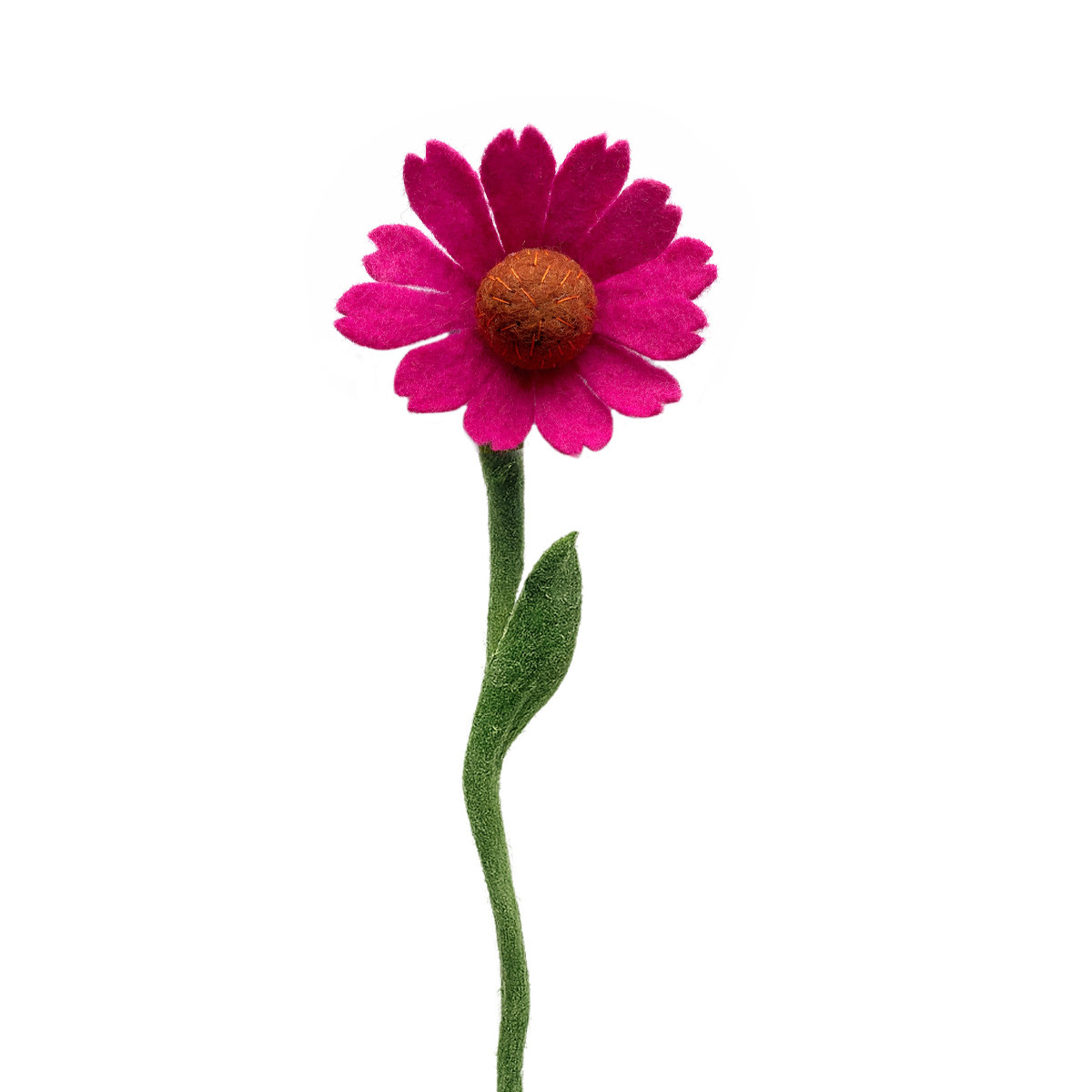 10A-ZO-HOE_WIT Coneflower (Zonnehoed)