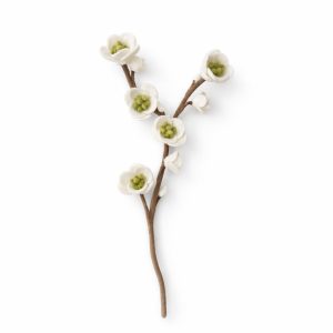 Cherry bloss L white green