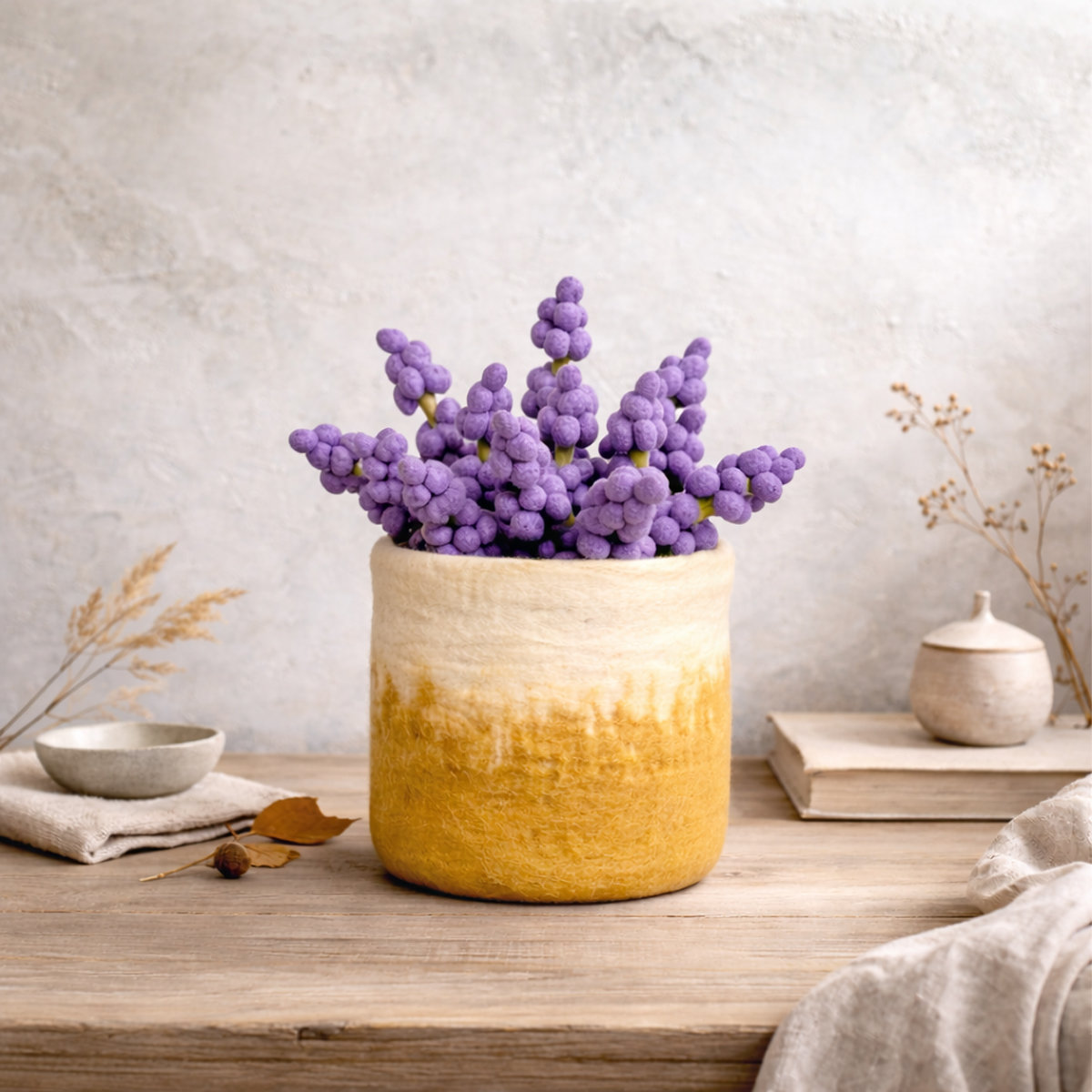 11A-LAV-DRK_BETON Tiny Hyacint paars