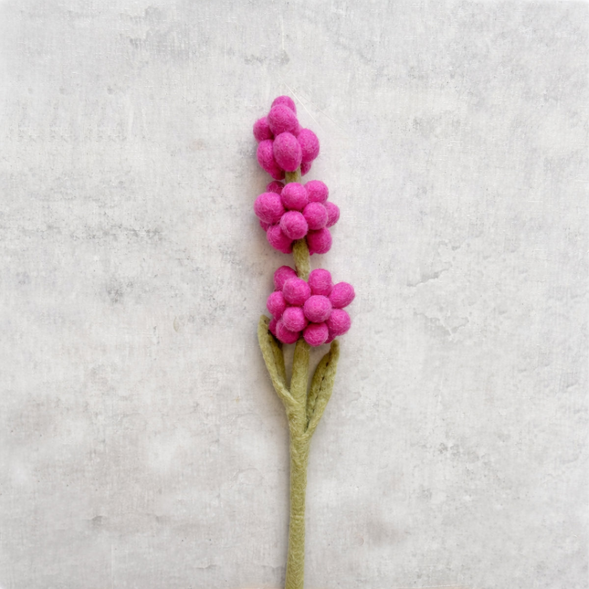 11A-LAV-PNK_BETON Tiny Hyacint PINK - Afbeelding 4