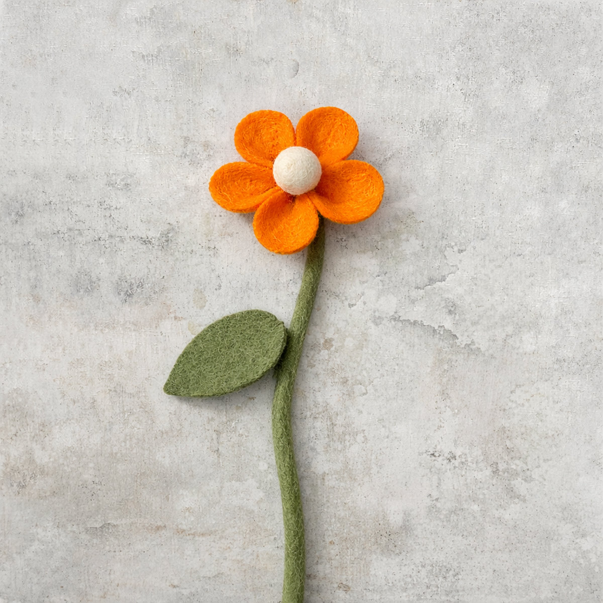 11E-DAISY-ORANGEYELL_BETON Daisy orangeyellow - Afbeelding 3