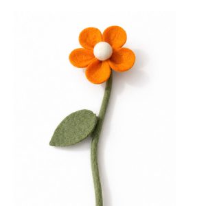 Daisy orangeyellow