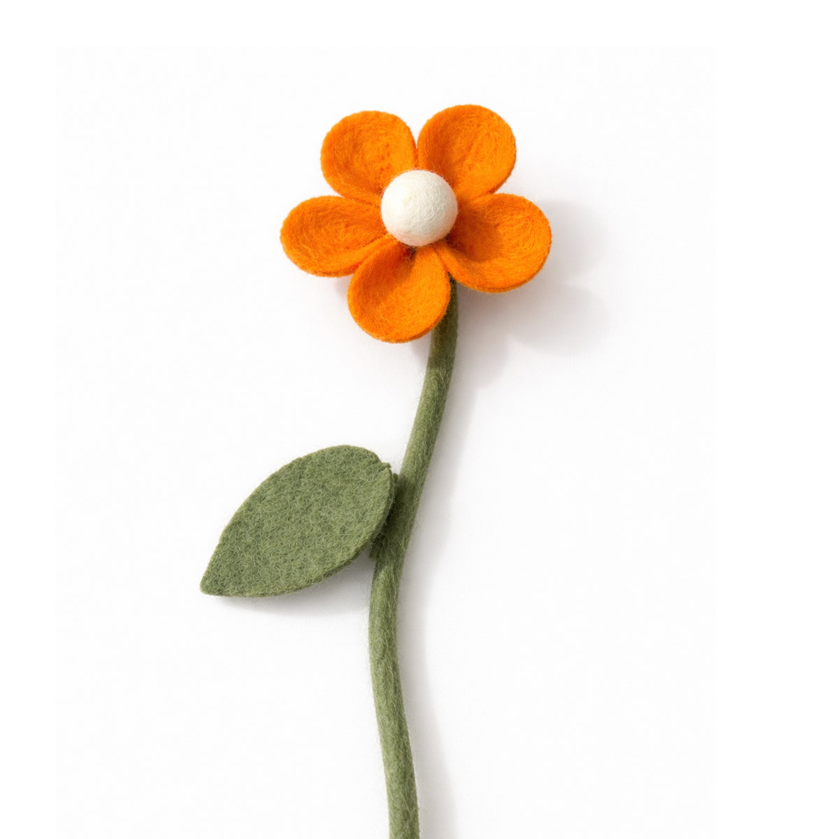 11E-DAISY-ORANGEYELL_WIT Daisy orangeyellow