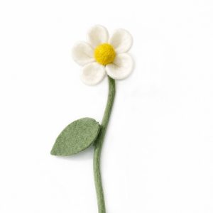 Daisy white