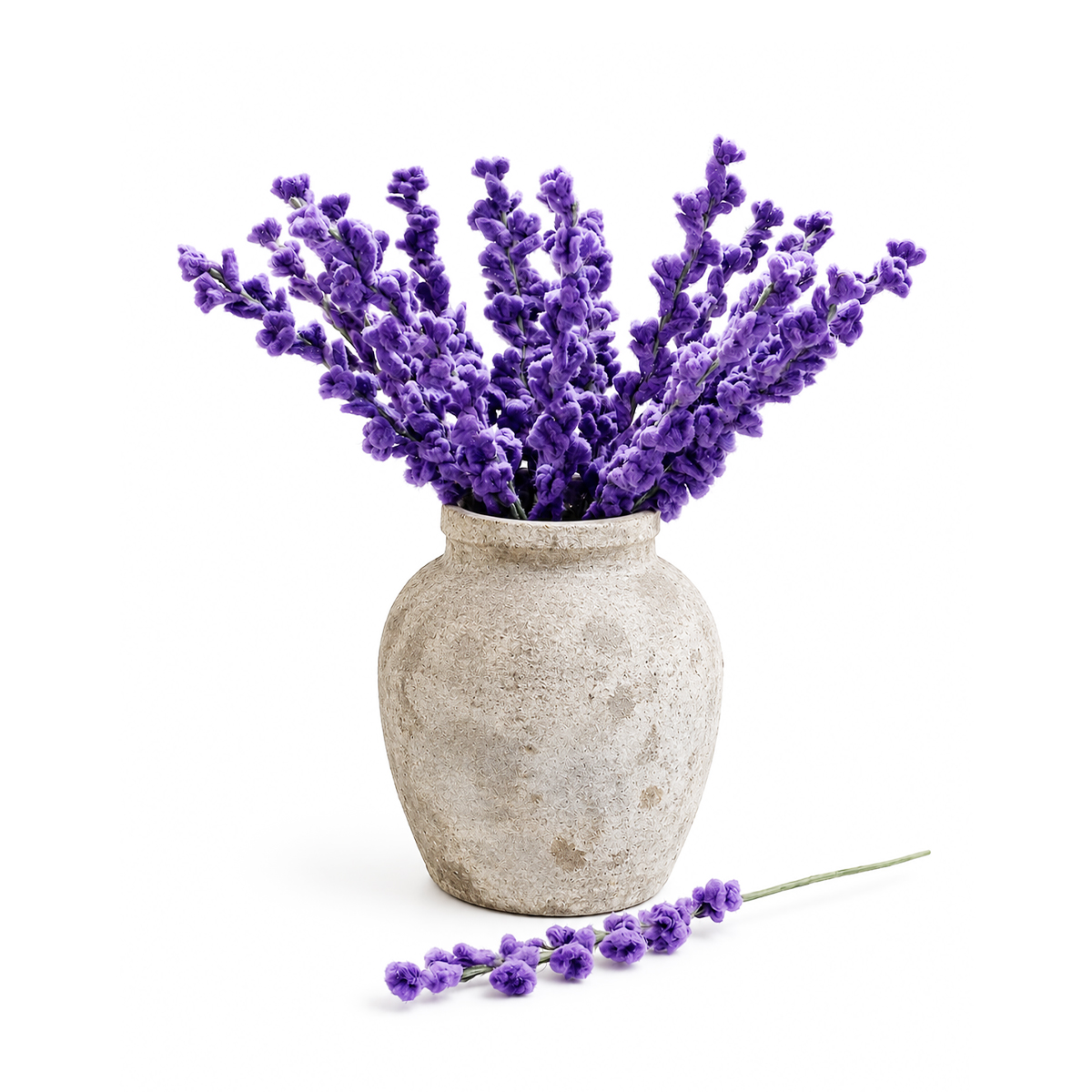 12B-LAVENDEL__WIT Lavendel - Afbeelding 4