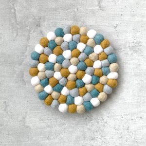 Coaster spring