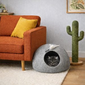 CatCave lightgrey
