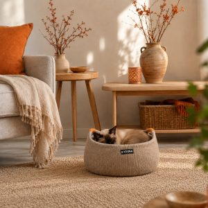 Catbasket creme
