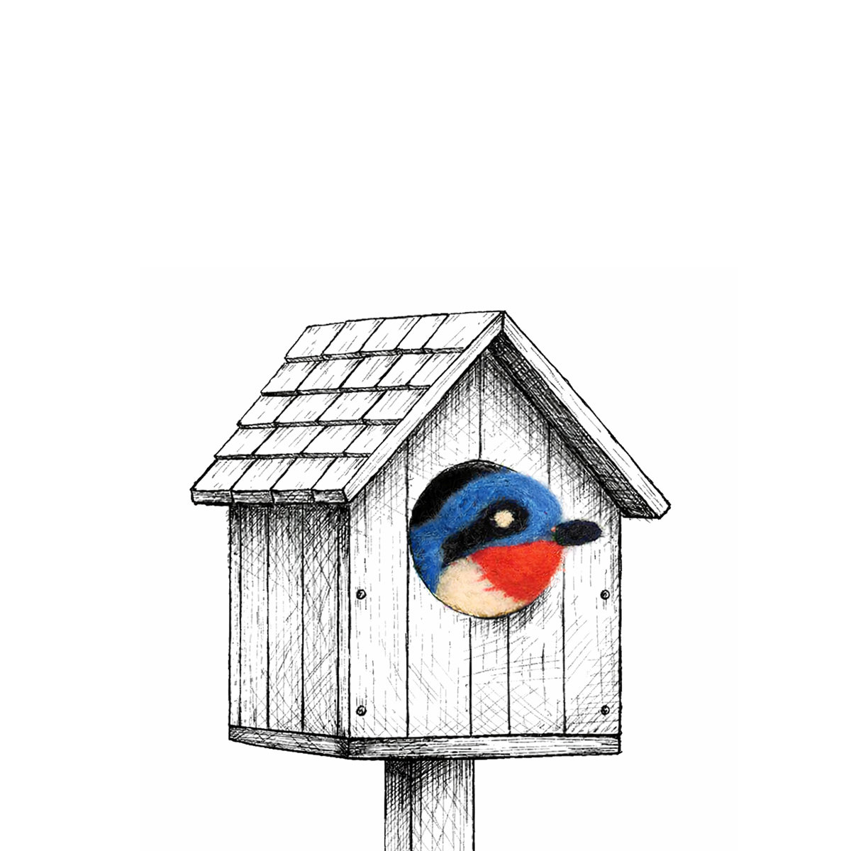 5C-BIR-SWL_EXTRA Bird Zwaluw - Afbeelding 4