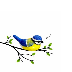 Blue tit