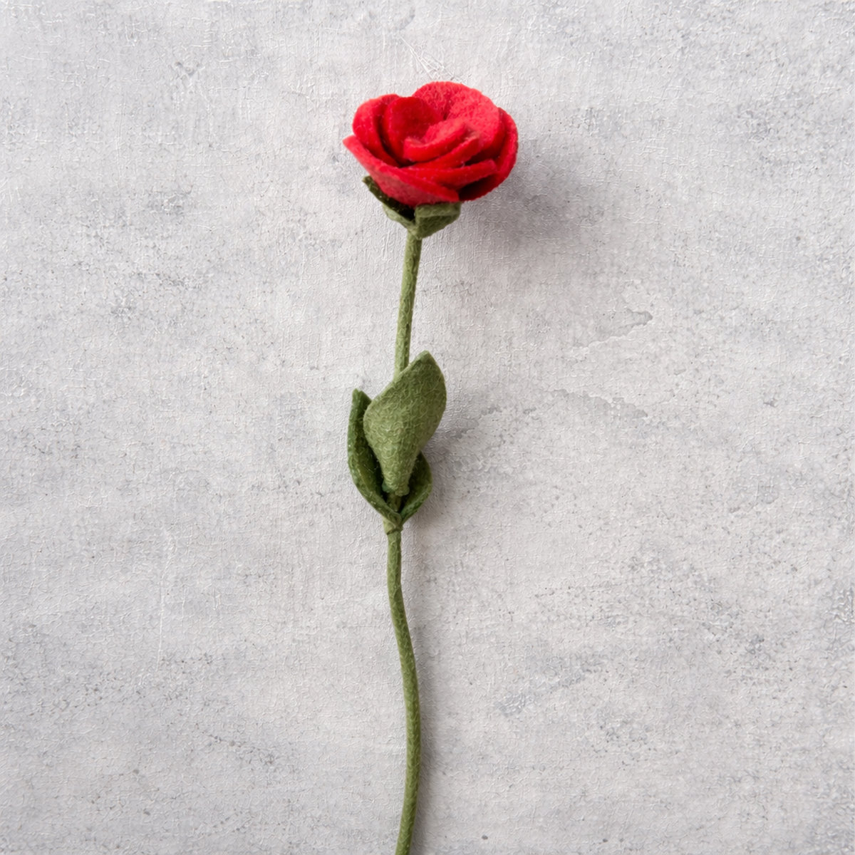 5E-ROSE-RUBY_BETON Rose ruby - Afbeelding 4