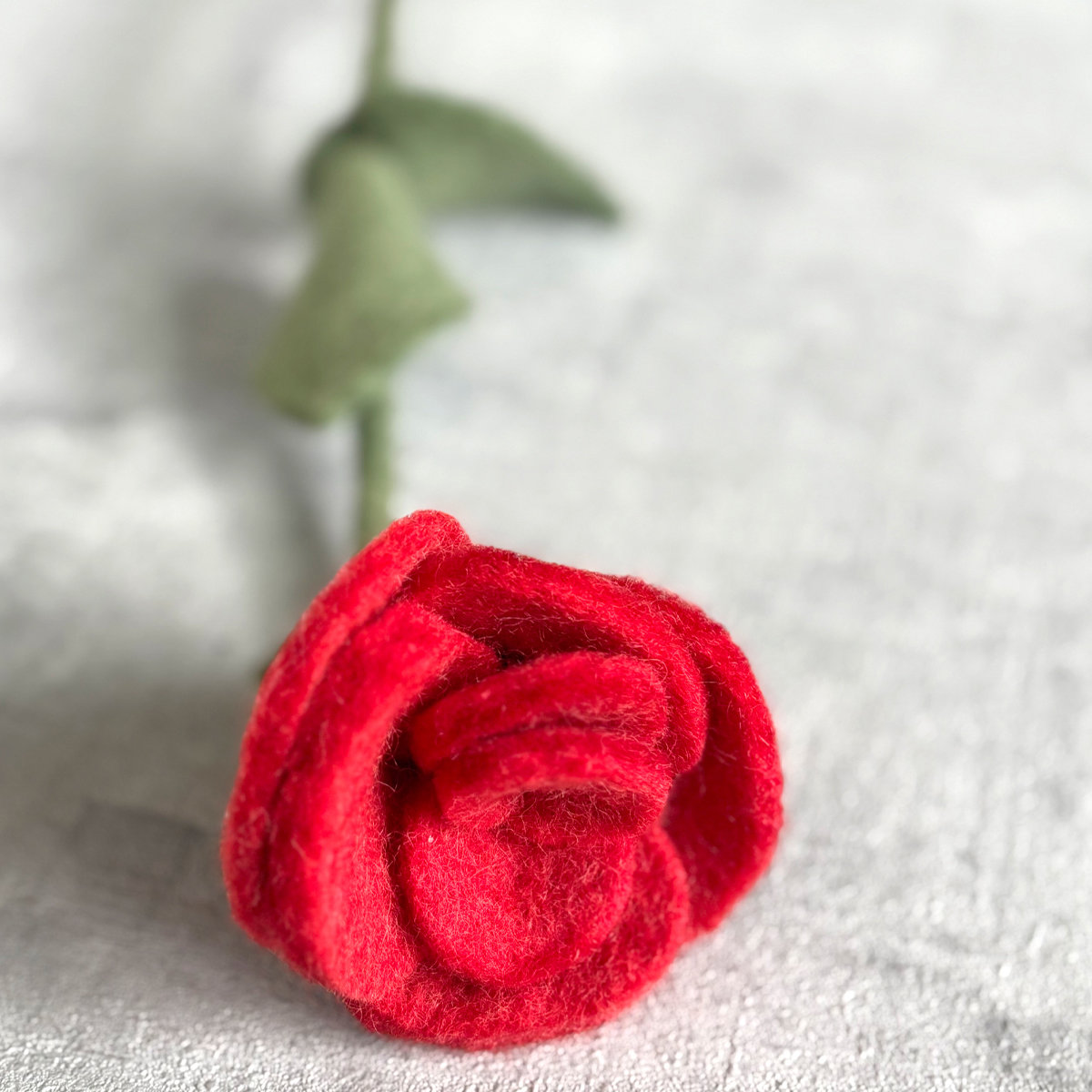 5E-ROSE-RUBY_EXTRA Rose ruby - Afbeelding 3
