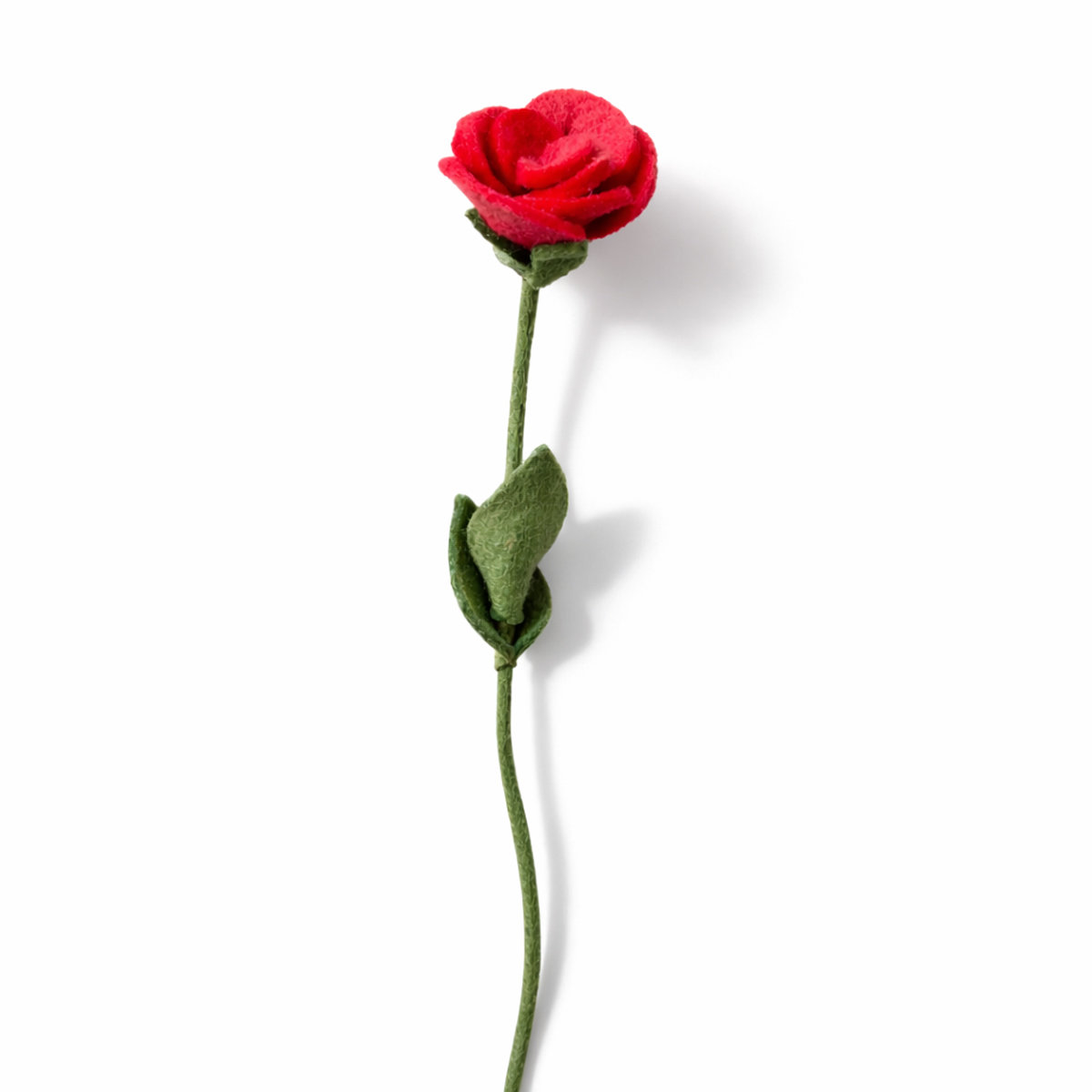 5E-ROSE-RUBY_WIT Rose ruby