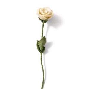 Rose white