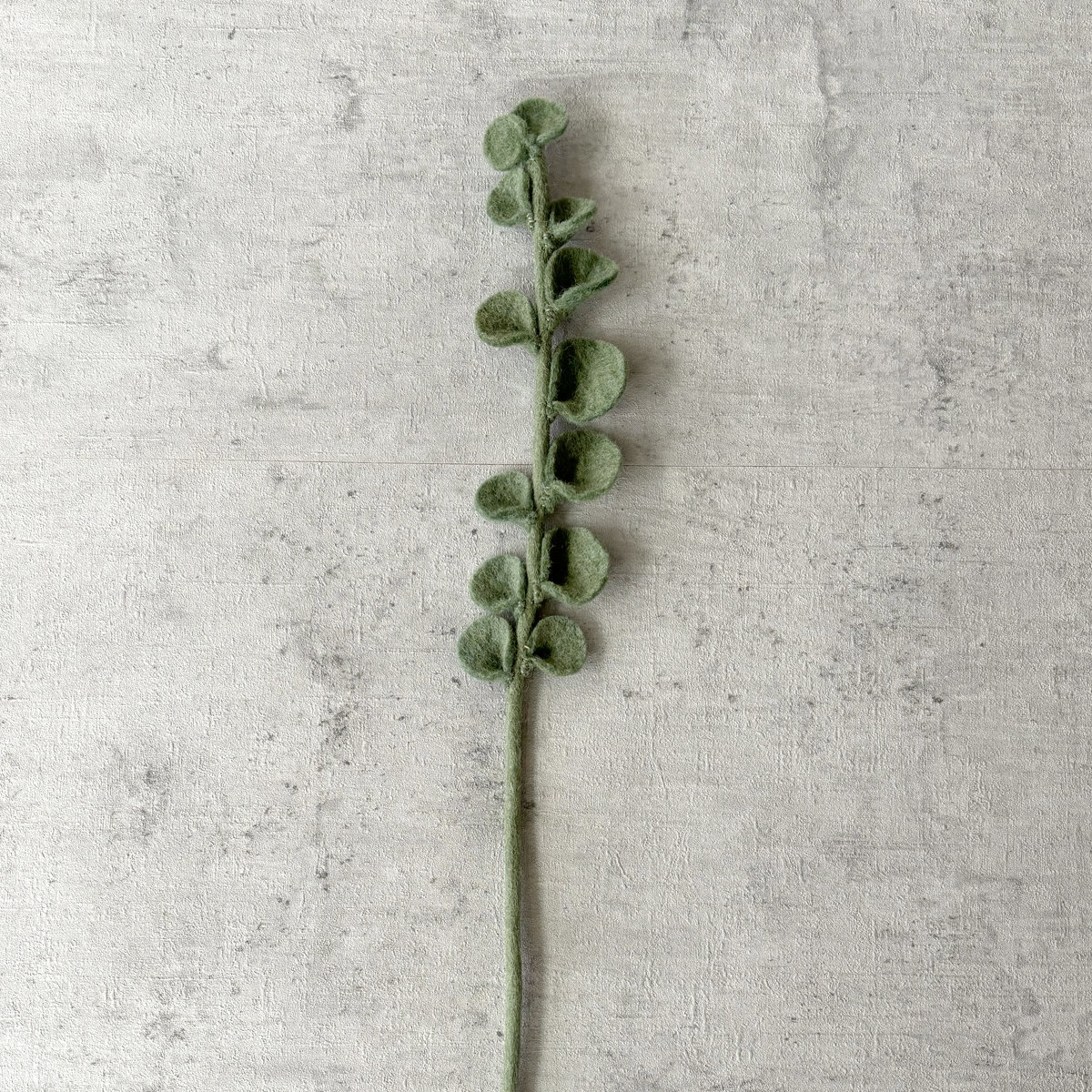 6E-EUC-BETON Eucalyptus - Afbeelding 2