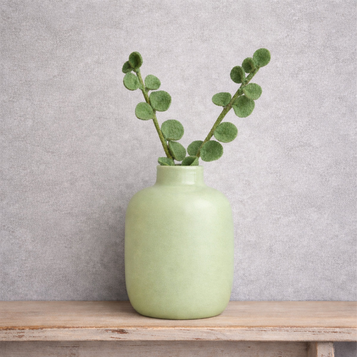 6E-EUC-EXTRA Eucalyptus - Afbeelding 4