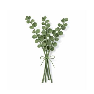 Eucalyptus