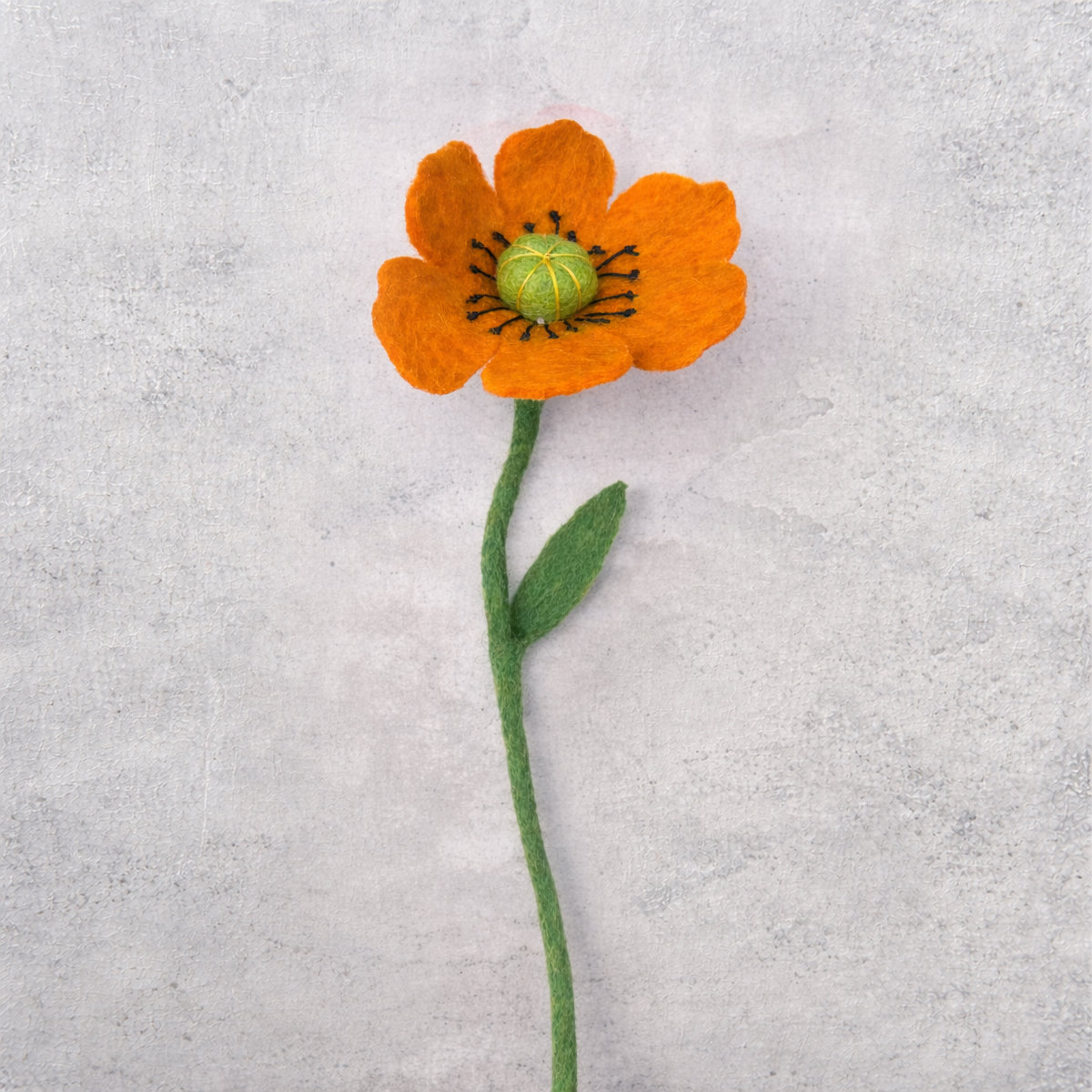 6E-POPPYOR_BETON Poppy flower orange - Afbeelding 4