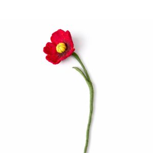 Poppy flower red