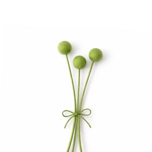 Craspedia groen