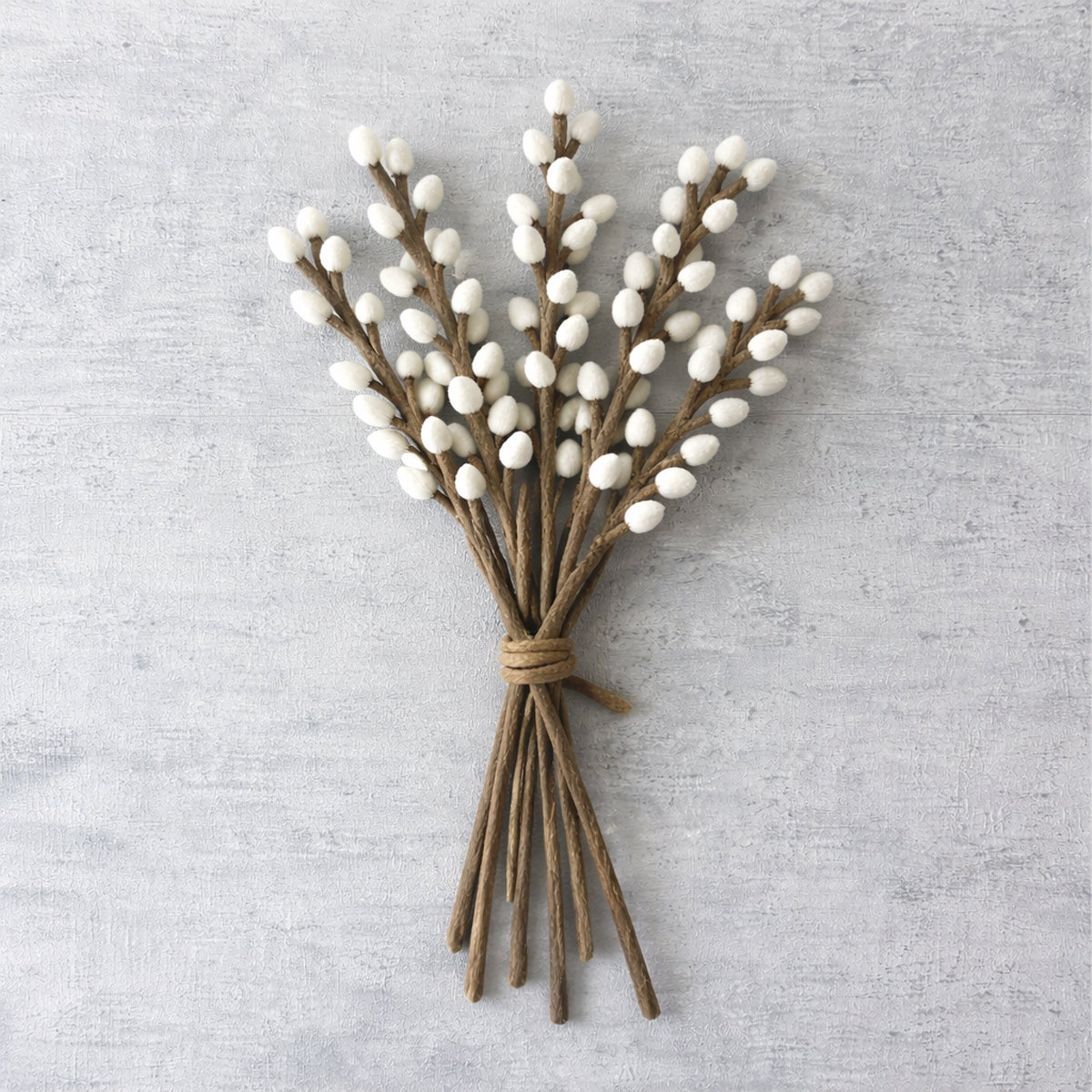 7E-KATJES_BETON Catkins willow (katjes) - Afbeelding 4