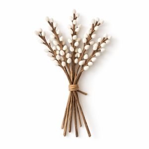 Catkins willow (katjes)