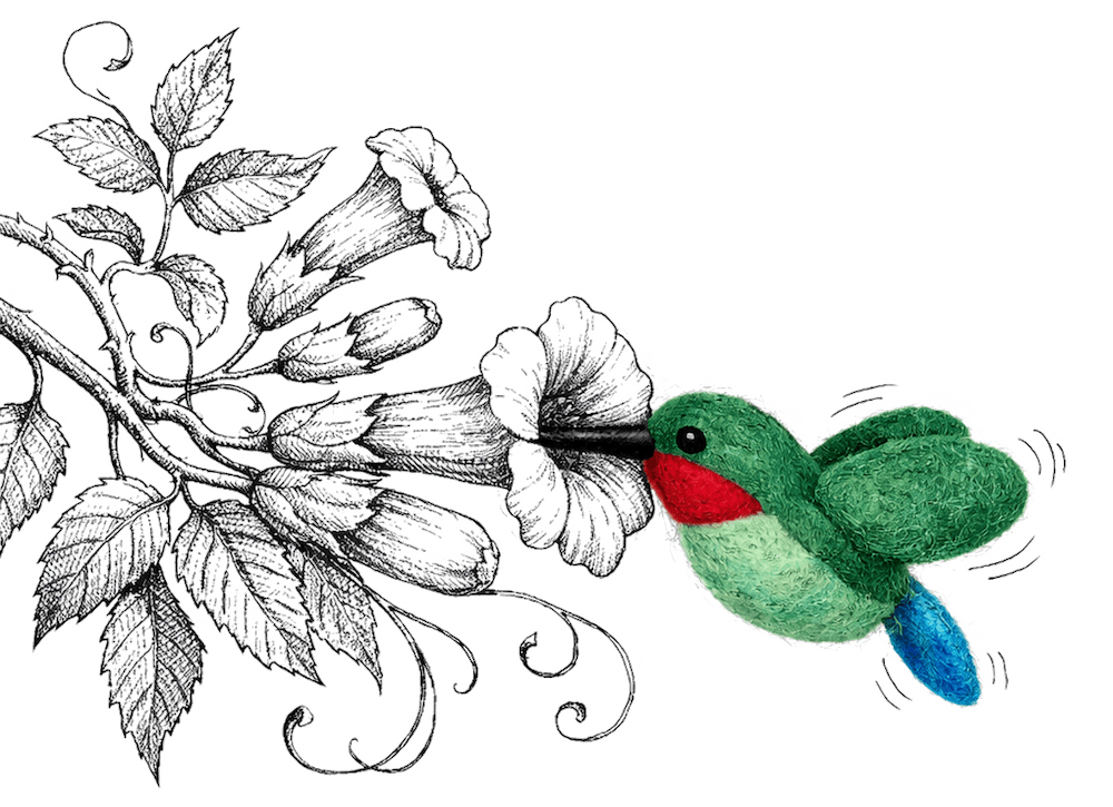 BeYoona Colibri Met Tekening